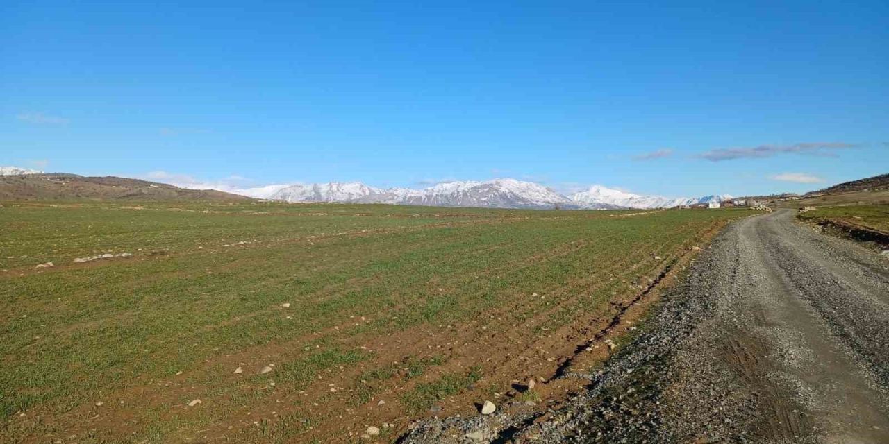 Kulp’ta Yağışlar Çiftçinin Umudu Arttı