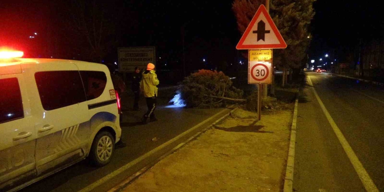 Malatya’da Fırtına Ağaçları Kökünden Söktü