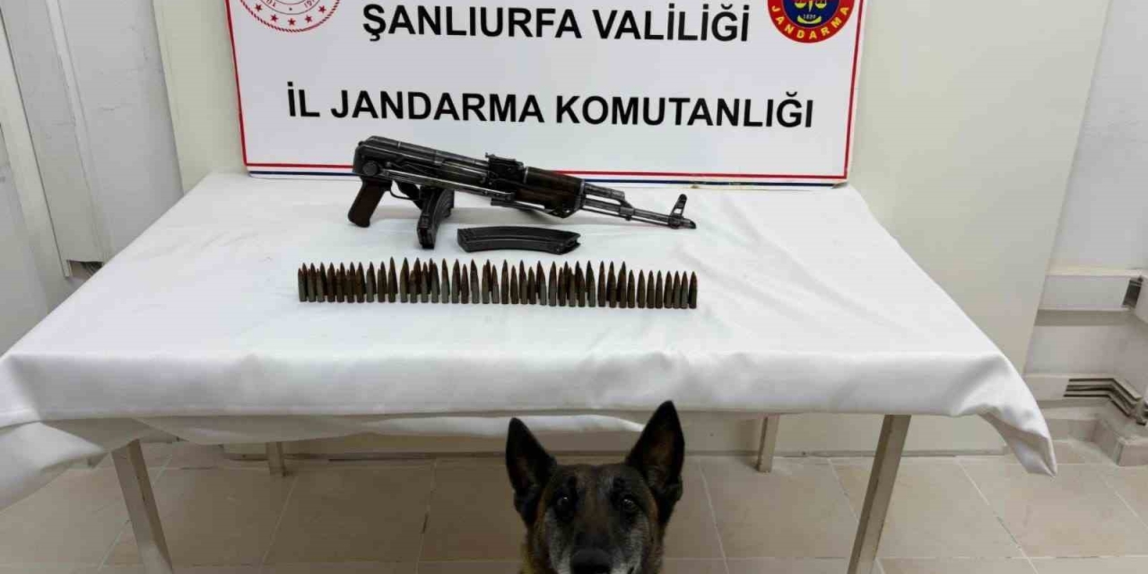 Şanlıurfa’da Uzun Namlulu Silah Ele Geçirildi: 1 Gözaltı
