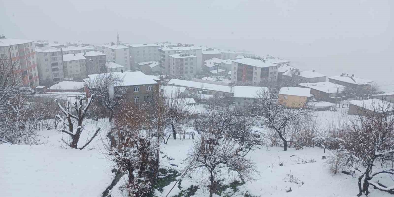 Kulp’ta Kar Yağışı Etkili Oldu, İlçe Beyaza Büründü