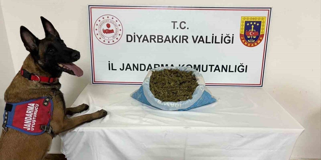 Diyarbakır’da Uyuşturucu Operasyonu: 14 Gözaltı