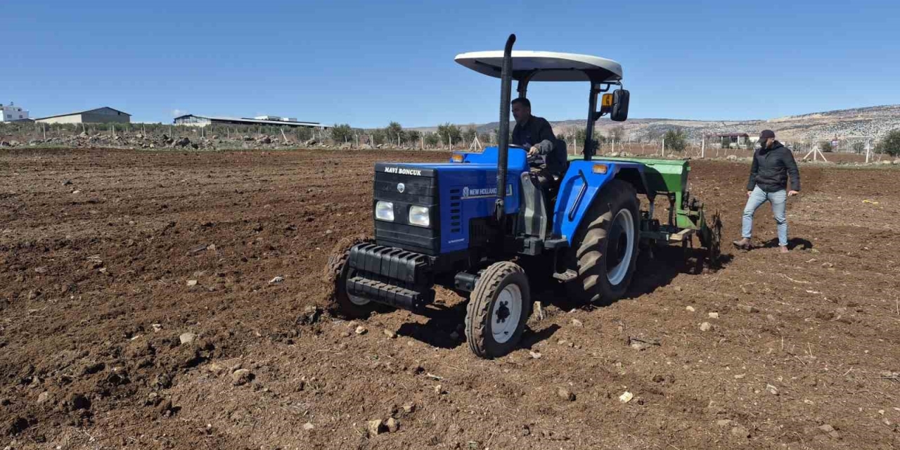 Gaziantep’te Nohut Ekimi Başladı
