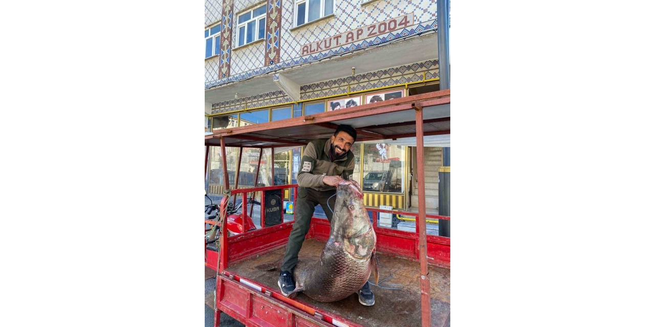 Çüngüş’te 100 Kiloluk Turna Balığı Yakalandı