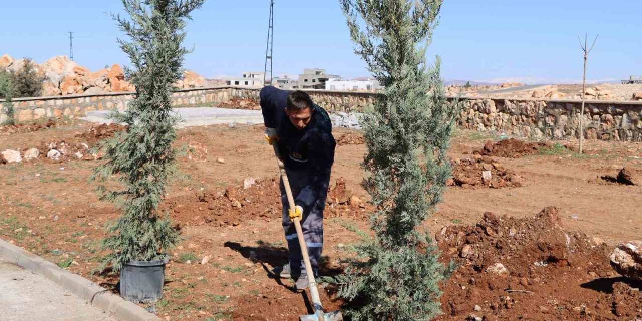 Yukarıgöklü Kent Parkı Yeşile Bürünüyor