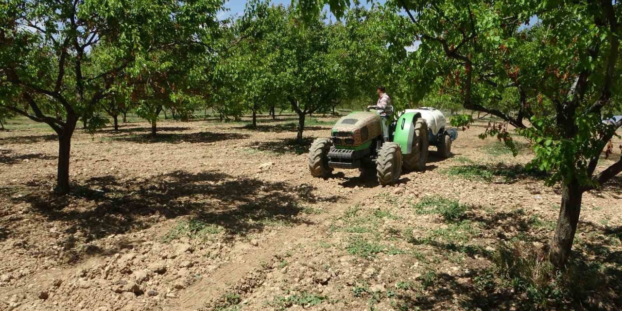 Kayısı Üreticilerine Manolya Hastalığı Uyarısı