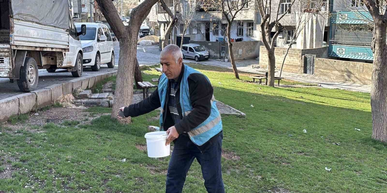 Yemyeşil Eyyübiye İçin Hazırlıklar Sürüyor