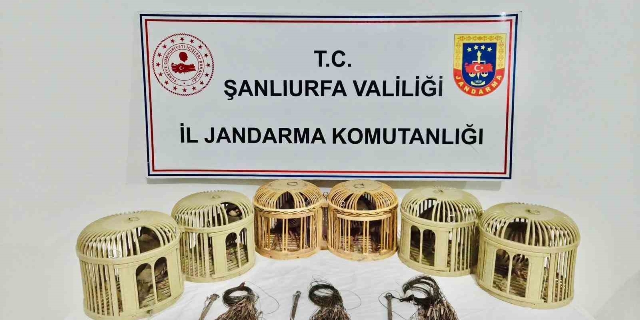 Şanlıurfa’da Kaçak Keklik Avcıları Suçüstü Yakalandı