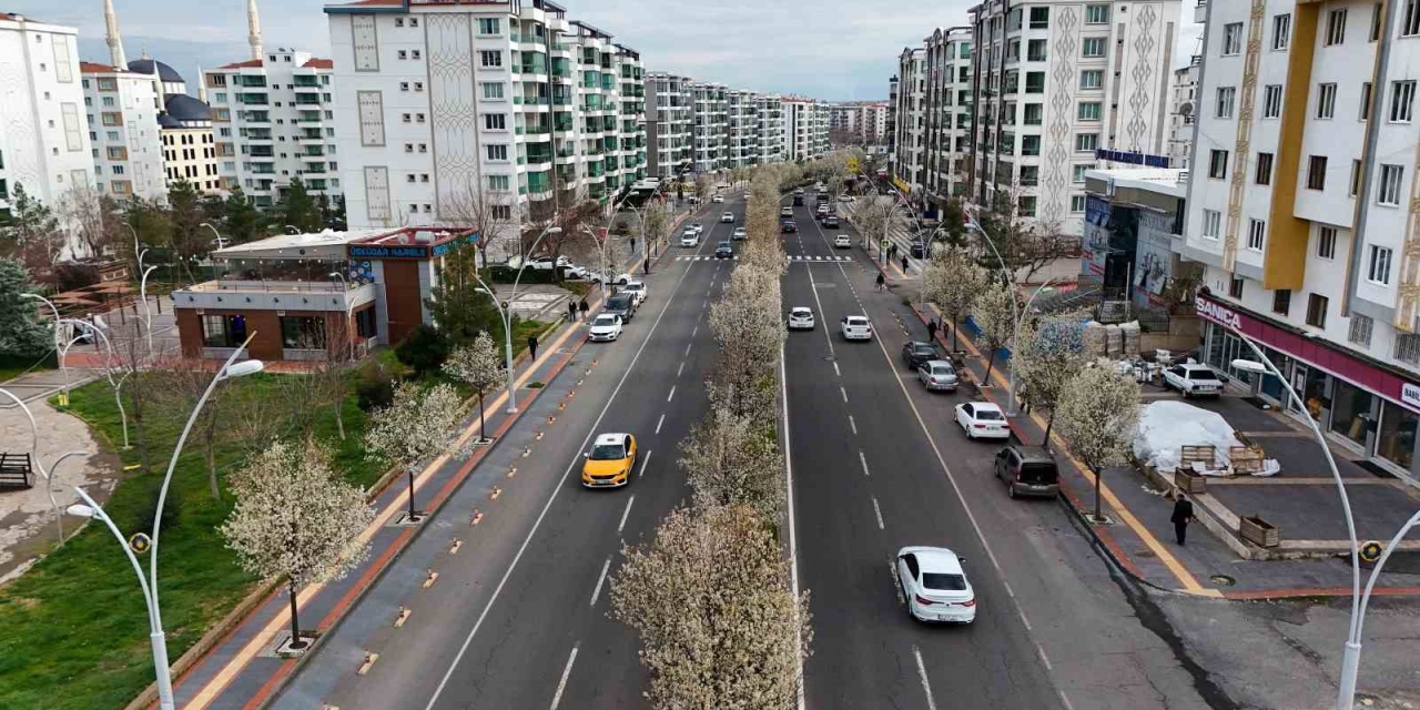 Bulvarlar Süs Armutlarıyla Görsel Şölene Dönüştü