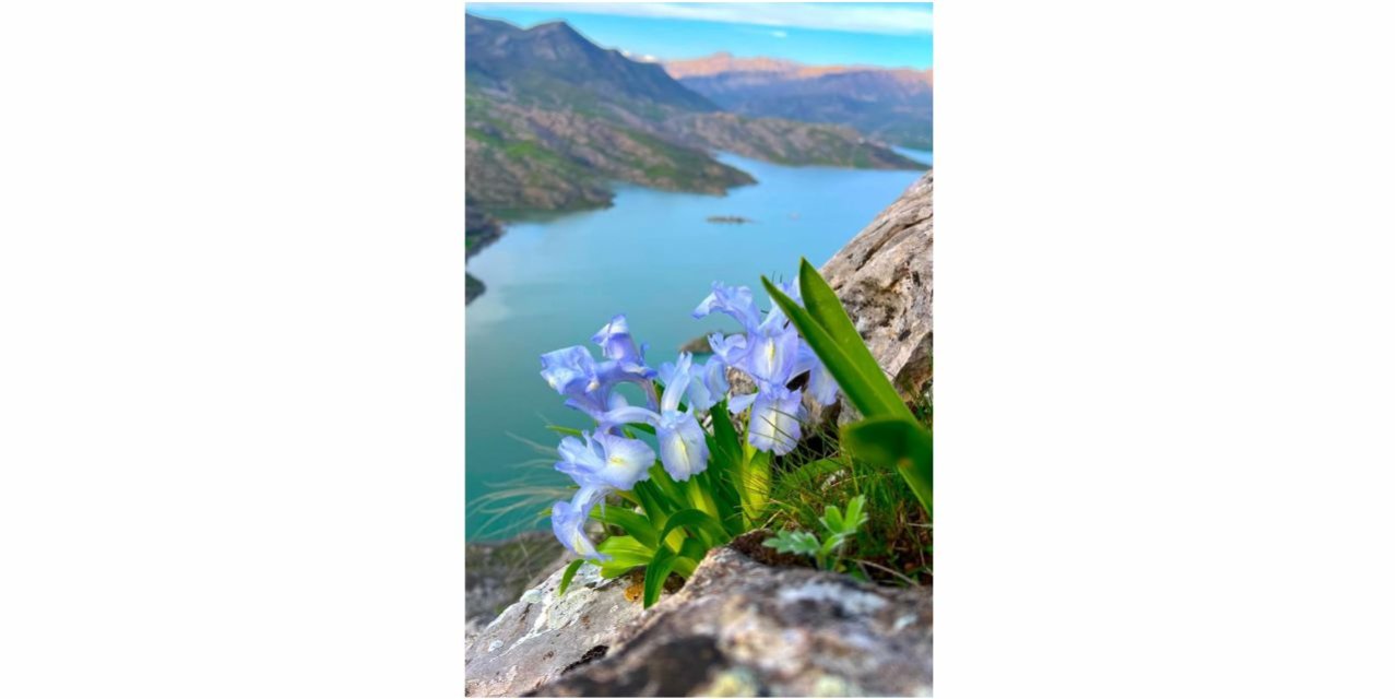 Ayı Nevruzu Gerger Kayalıklarını Renklendirdi