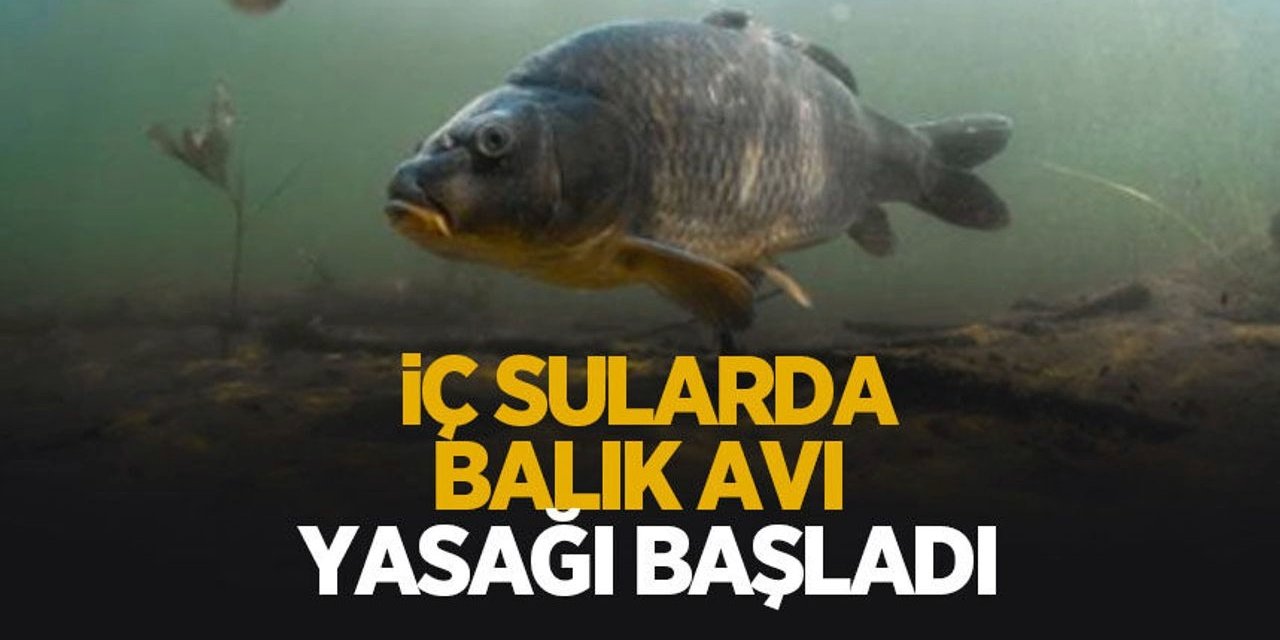 Balık Avı Yasağı Başladı