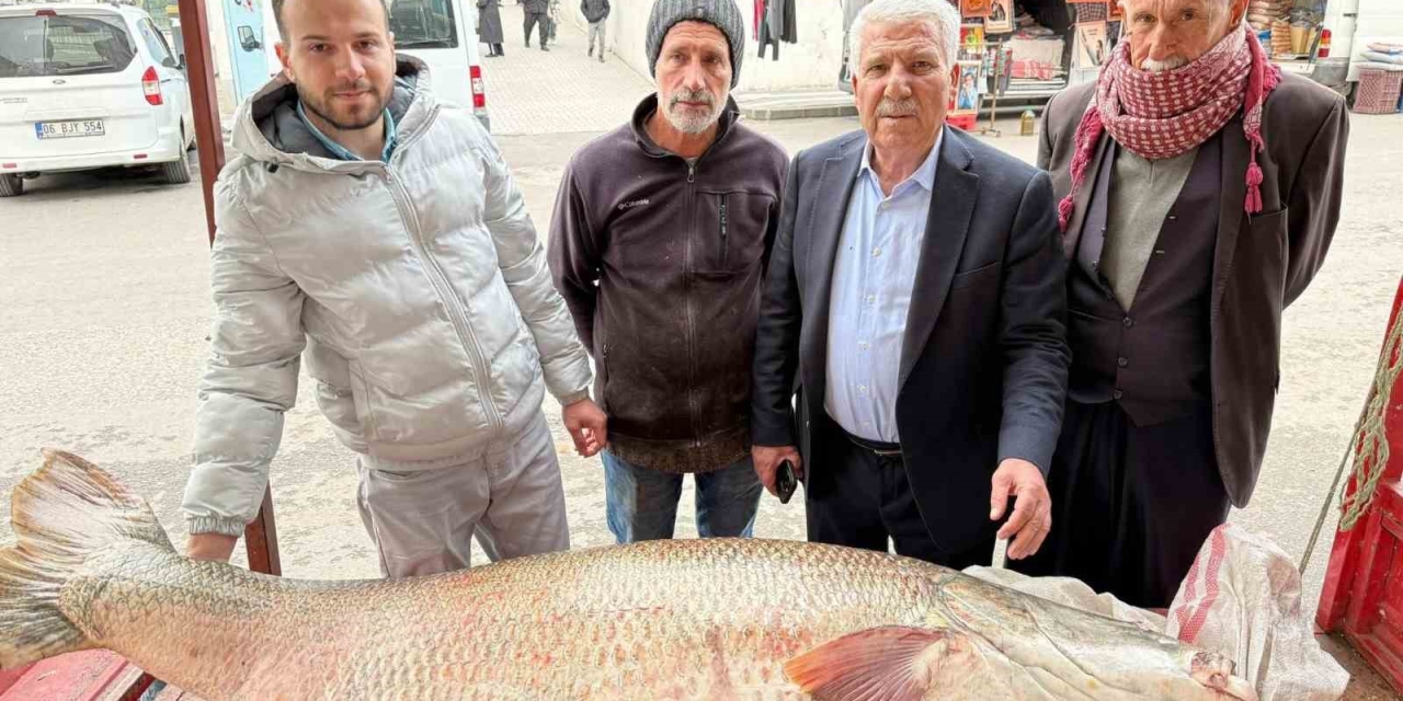 Diyarbakır’da 120 Kiloluk Turna Balığı Görenleri Hayrete Düşürdü