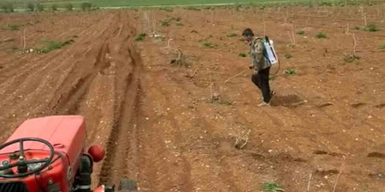 Araban’da Antep Fıstığı Tarlalarında Yabancı Otlarla İlaçlı Mücadele