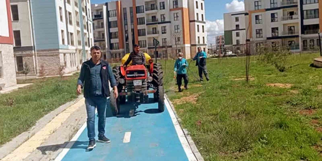 Araban Toki Konutlarında Yabani Otlar Ve Haşerelerle İlaçlı Mücadele Başlatıldı