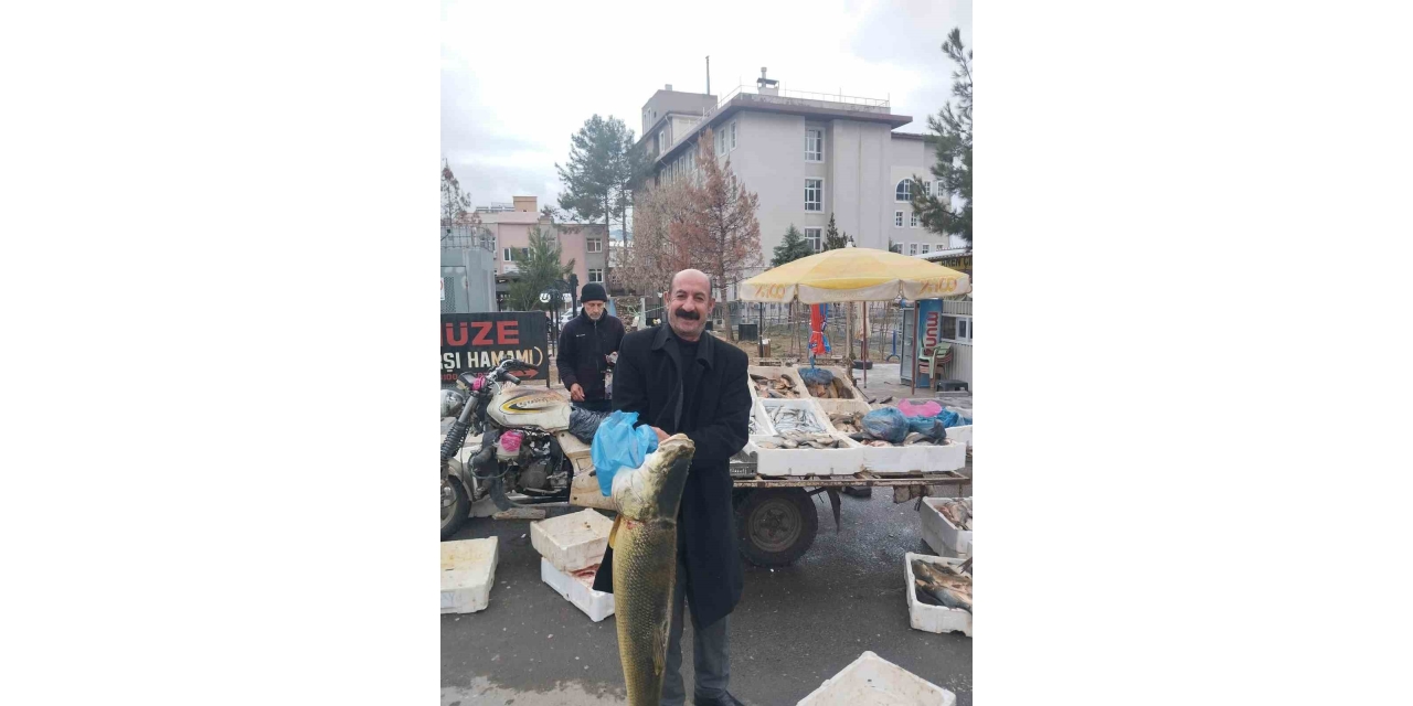 Diyarbakır’da Av Yasağı Başladı