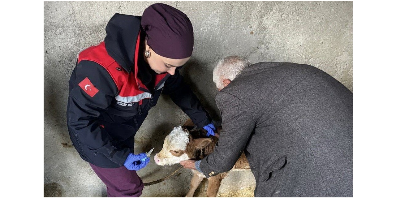 Zoonoz Hastalıklarına Karşı Aşılama Çalışmaları Sürüyor