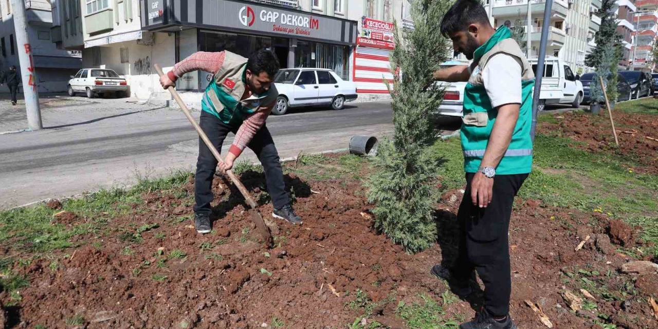 Haliliye’de Yaz Öncesi Parklarda Hummalı Çalışma