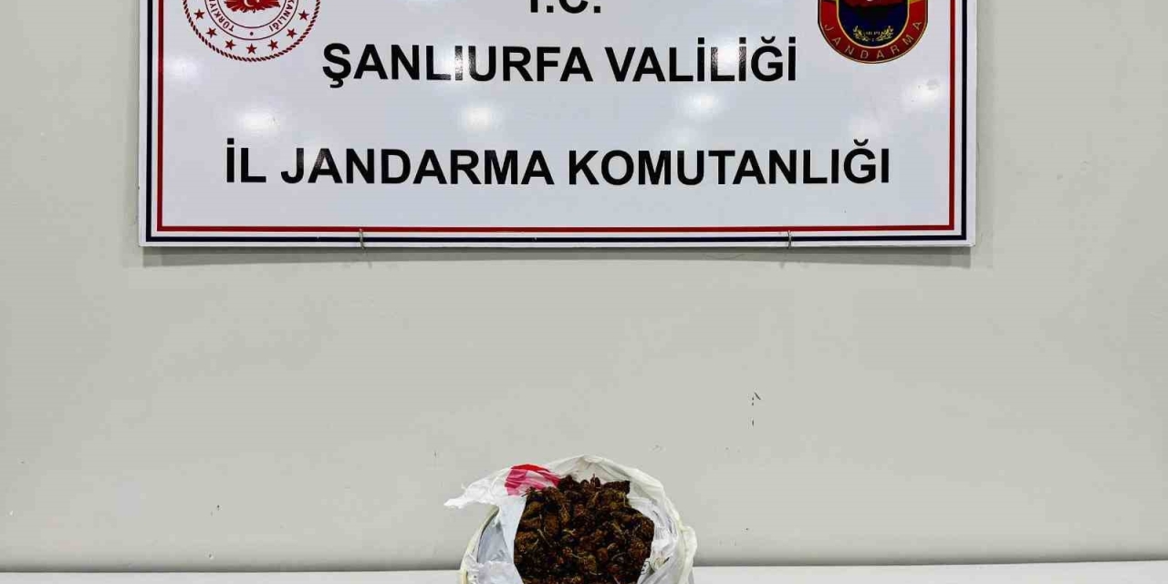 Şanlıurfa’da Şüpheli Araçta 1 Kilo Uyuşturucu Ele Geçirildi: 2 Gözaltı