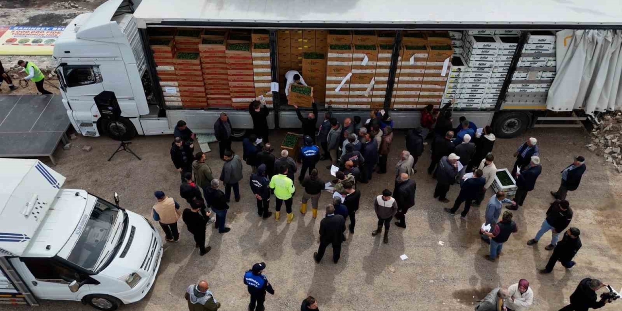 Şahinbey’de Çiftçilere 5 Milyon Sertifikalı Fide Desteği Verildi