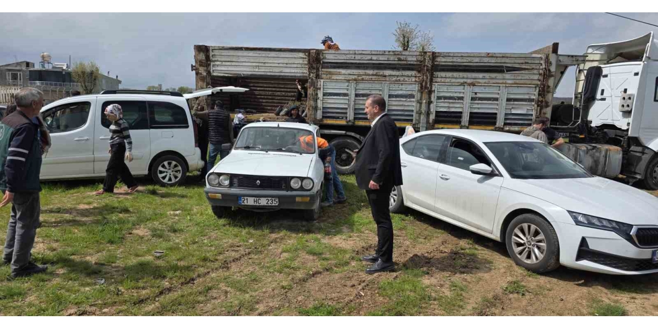 Dicle’de Çiftçilere Yüzde 100 Hibeli Bin 176 Adet Fıstık Çöğürü Dağıtıldı
