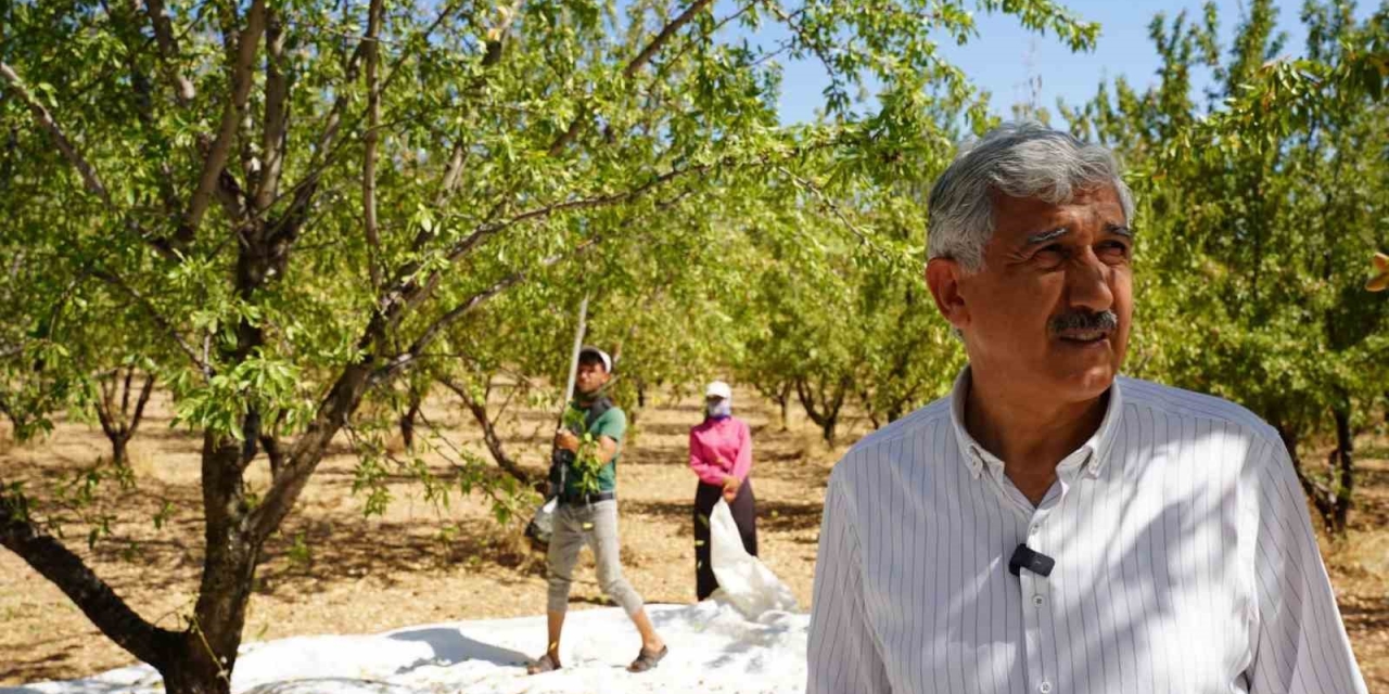 Başkan Hallaç’tan 1 Mayıs Emek Ve Dayanışma Günü Mesajı