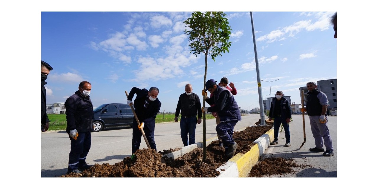 Ağaçlandırma Çalışması Devam Ediyor