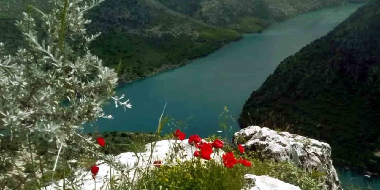 Araban Ovası’na Bahar Geldi