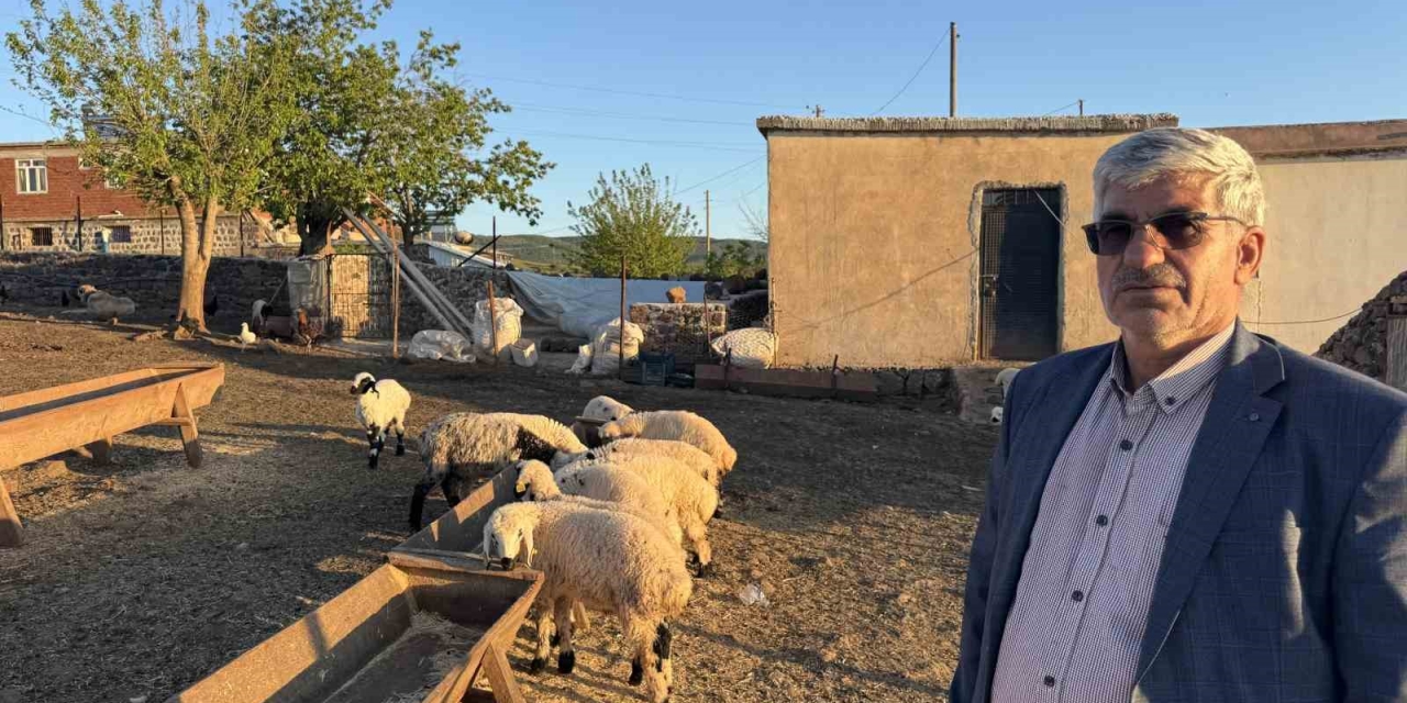 Diyarbakır’da Göçerlerin Zorlu Yolculuğu Başladı