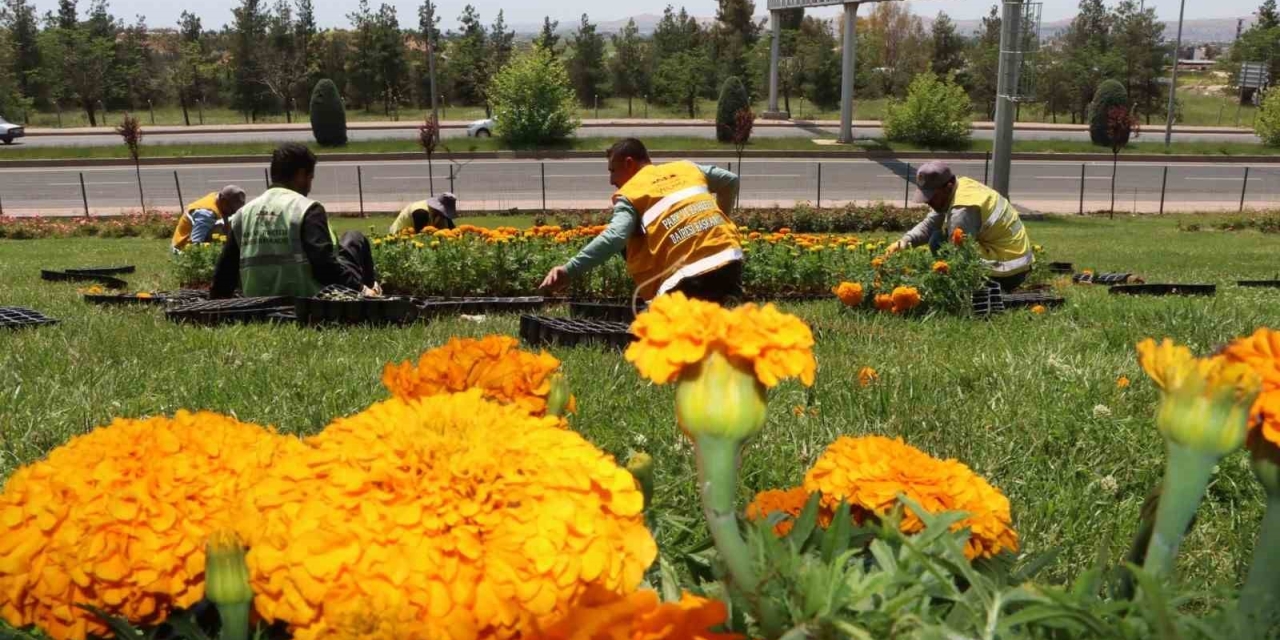 Şanlıurfa Çiçeklerle Donatıldı
