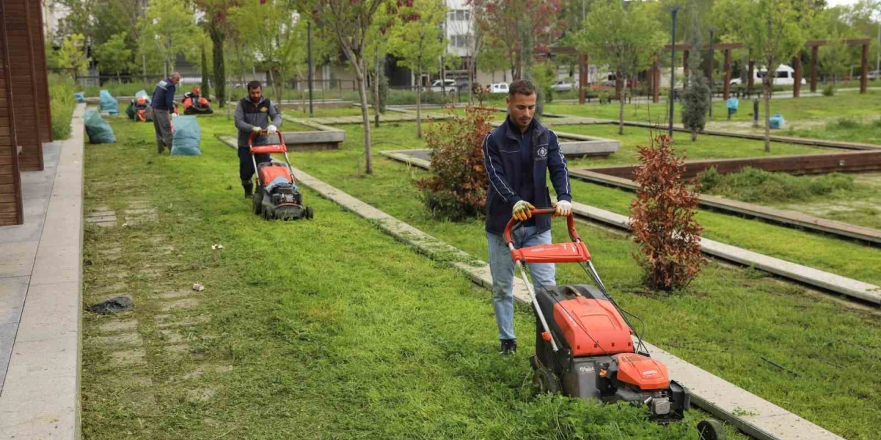 Parklarda Yaz Hazırlığı