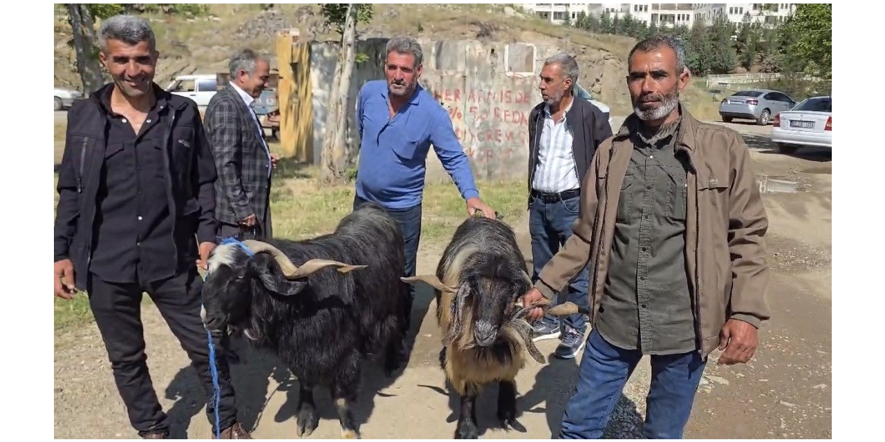 Bayram Öncesi Hayvan Pazarına İlgi Arttı