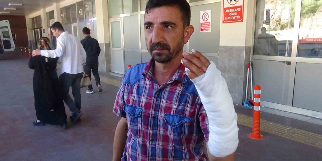Şanlıurfa’da Bayramın İlk Gününde 232 Acemi Kasap Hastanelik Oldu