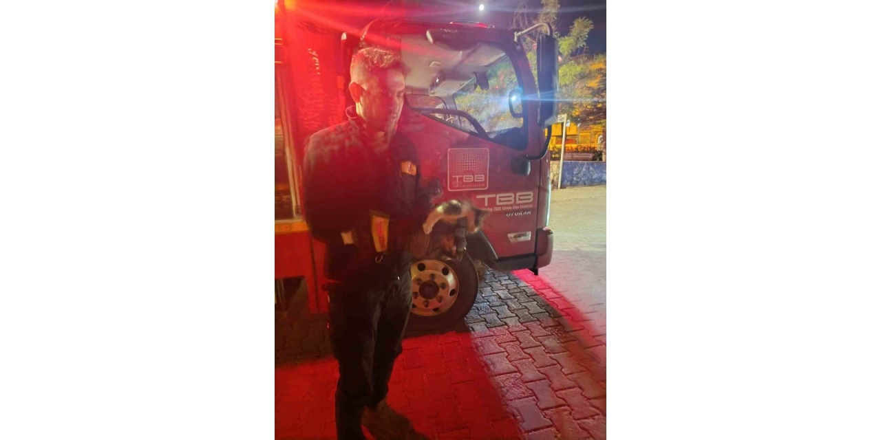Motor Kısmına Sıkışan Kedi İçin Seferber Oldular