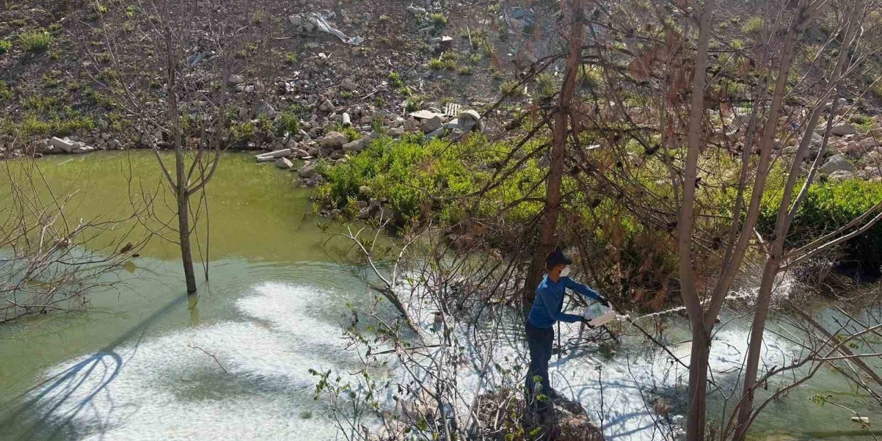 Adıyaman’da Sivrisinek Ve Haşerelere Karşı İlaçlama Çalışması