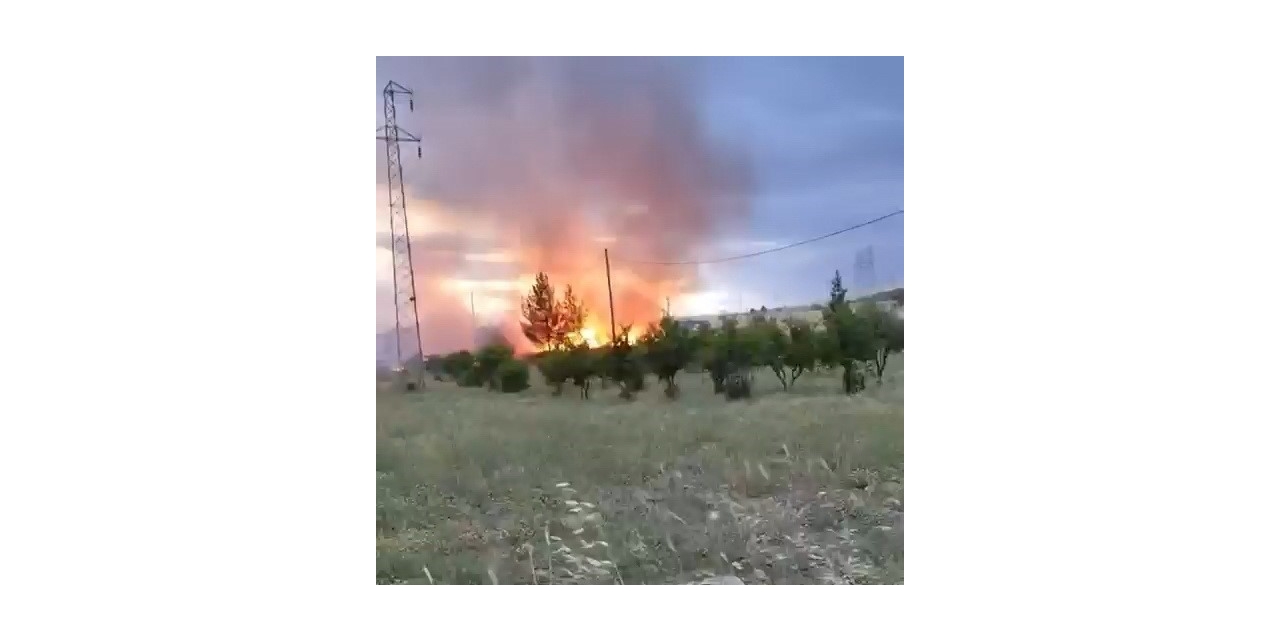 Elektrik Direğinden Çıktığı İddia Edilen Yangın Buğday Tarlasını Küle Çevirdi