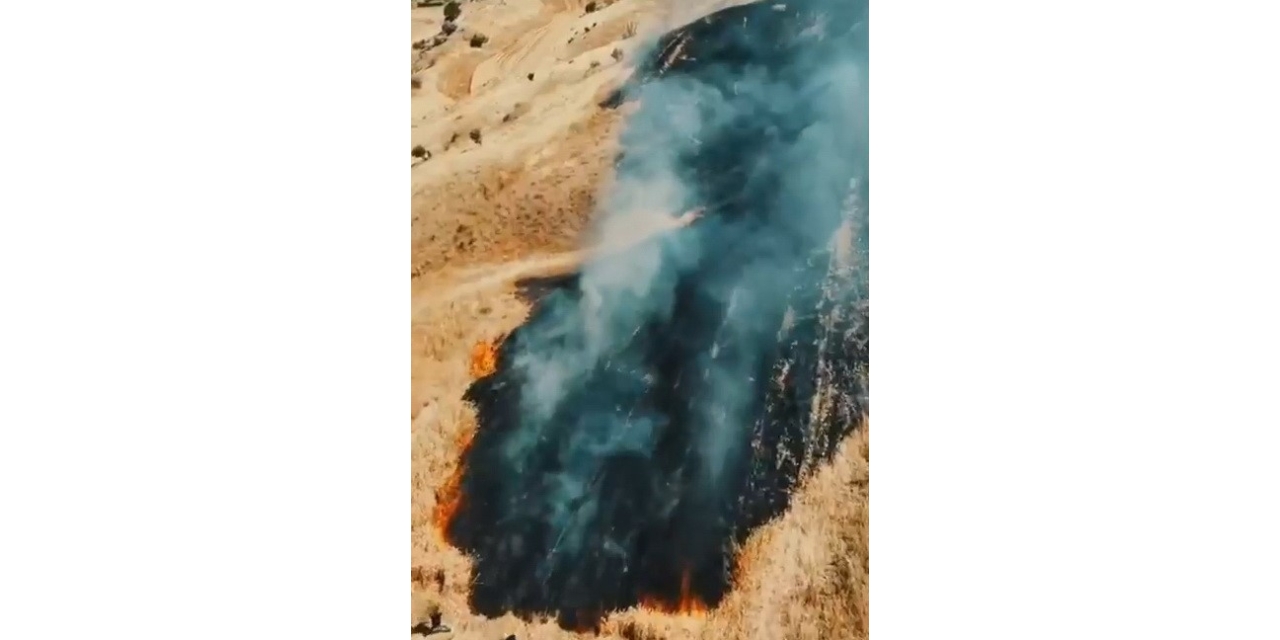 Buğday Tarlası Yangında Zarar Gördü