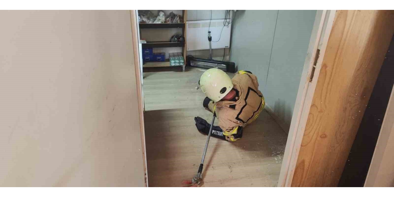İş Yerine Giren Yılan Paniğe Neden Oldu