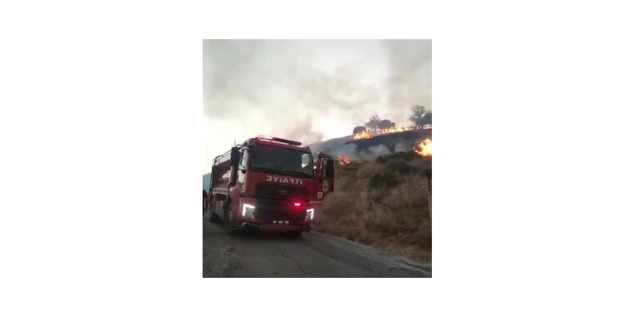 Kahta’da Anız Yangını Köye Kadar Ulaştı