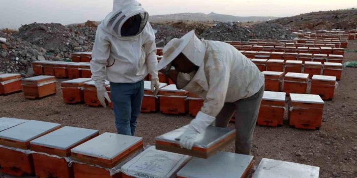 Adıyaman’da 2026 Yılı Bal Fiyatları Açıklandı