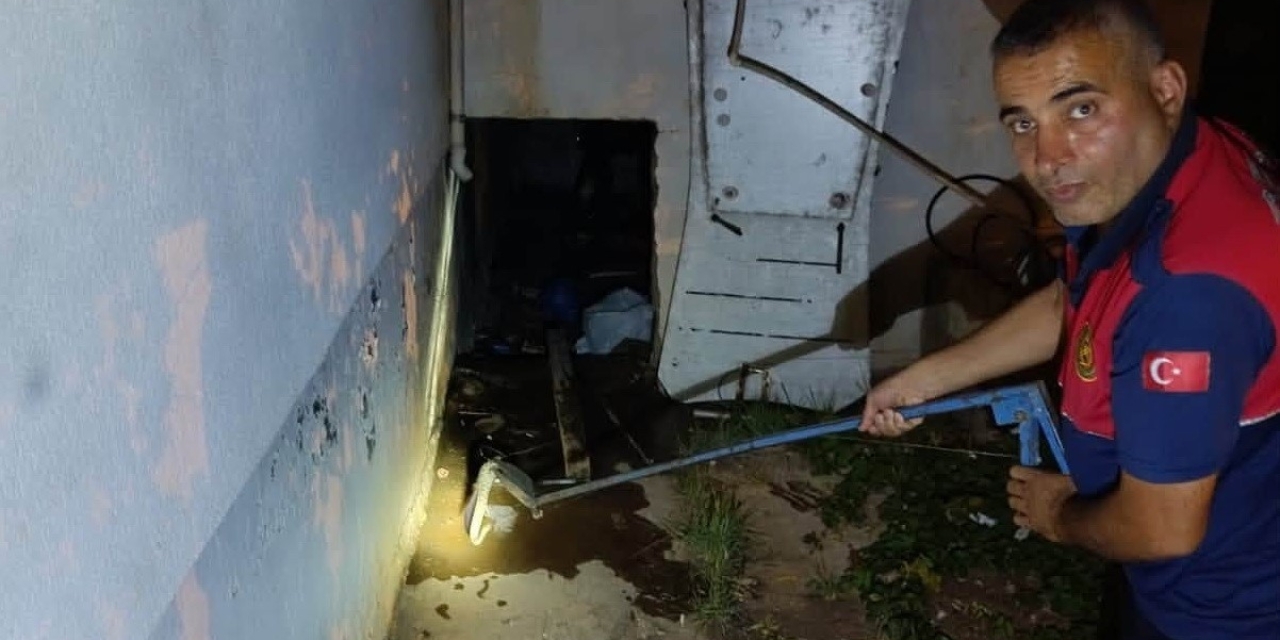 Evin Deposuna Giren Yılan Ekipleri Harekete Geçirdi