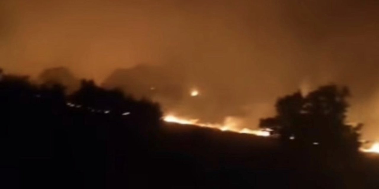 Gerger’de Orman Yangını