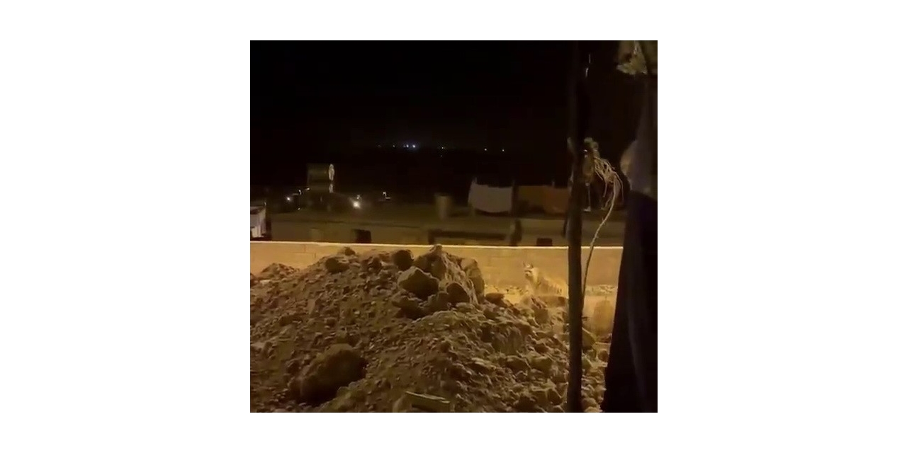 Adıyaman’da Çizgili Sırtlan Evlerin Bahçesinde Görüntülendi