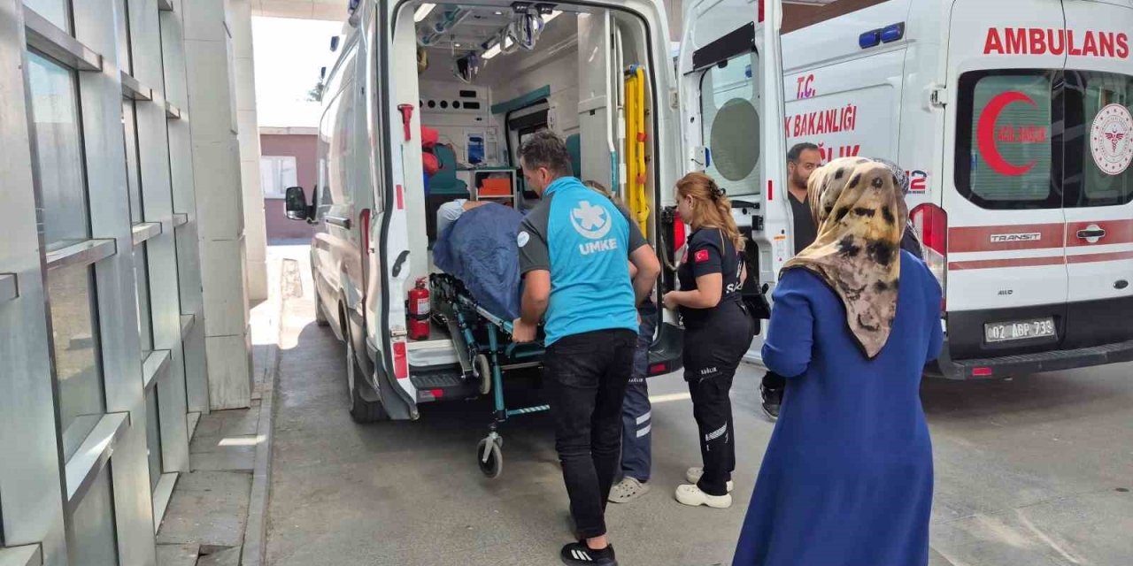 İncir Toplarken Ağaçtan Düşen Kişi Yaralandı