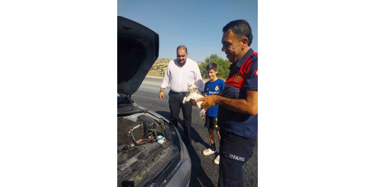 Otomobilin Motoruna Sıkışan Kedi Kurtarıldı