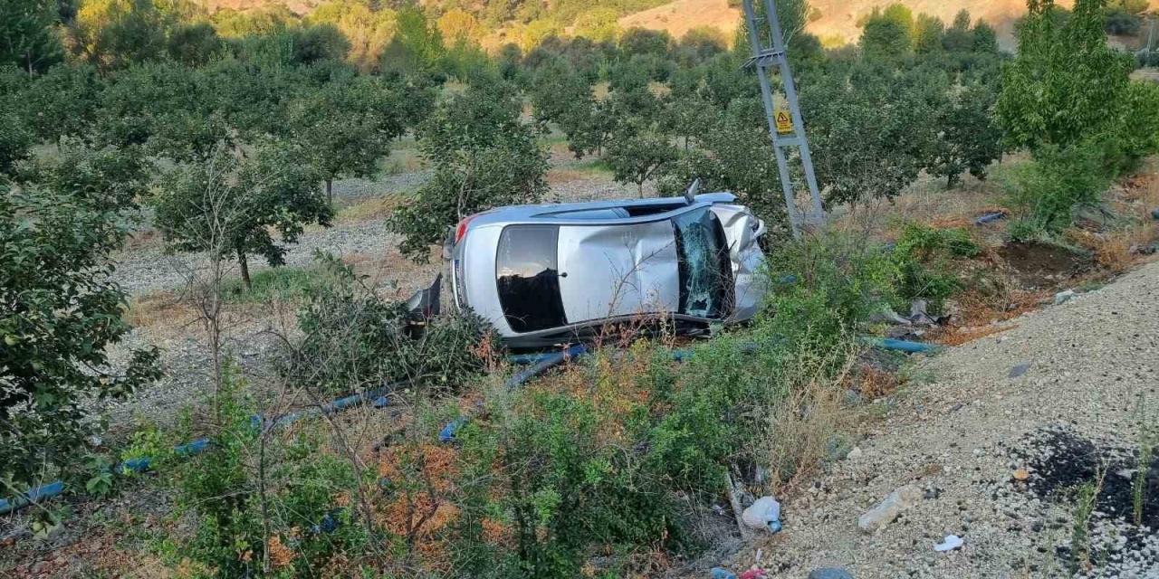 Otomobil Meyve Bahçesine Yuvarlandı: 4 Yaralı