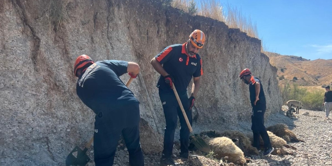 Toprak Kaymasında 6 Küçükbaş Hayvan Telef Oldu