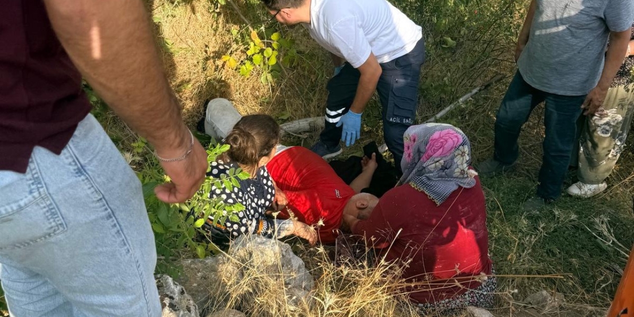Ceviz Ağacından Düşen Kişi Yaralandı