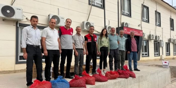 Çelikhan’da 10 Üreticiye 90 Kilogram Salep Yumrusu Dağıtıldı