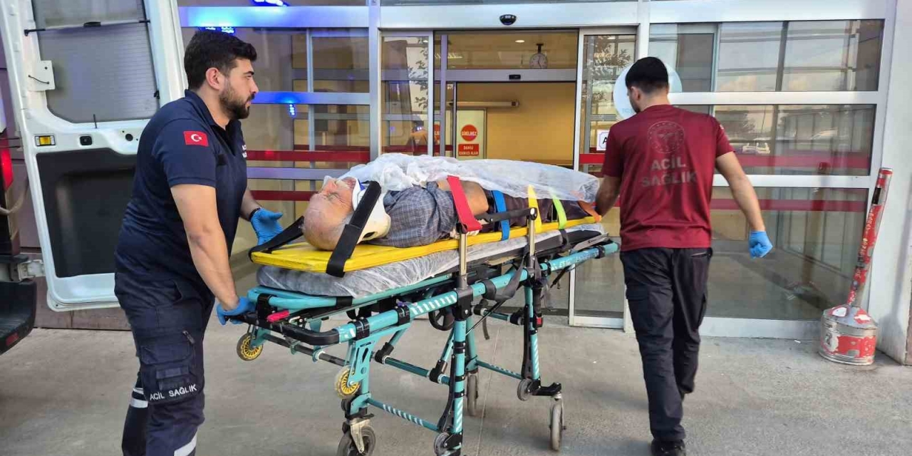Ağaç Keserken Düşen Yaşlı Adam Yaralandı