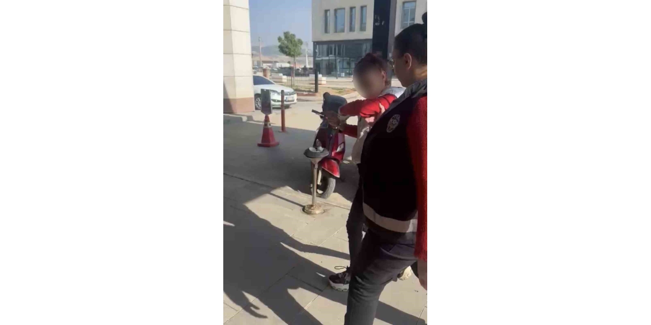 Kediye Taşla Vuran Kadın Yakalandı