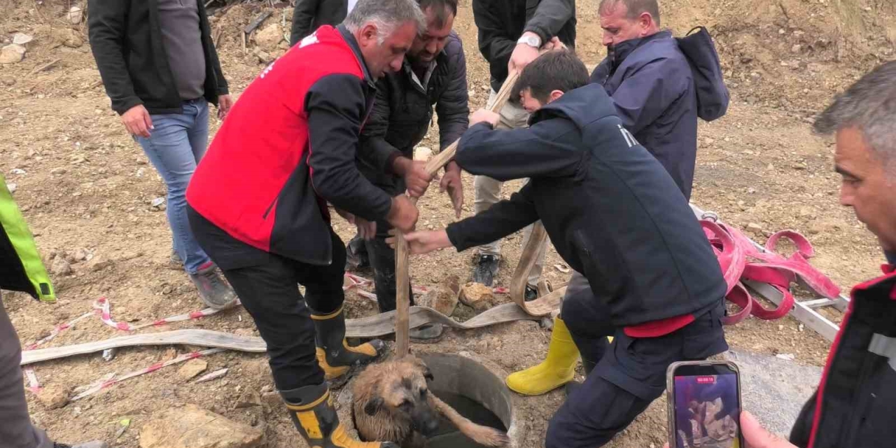 Kanalizasyon Çukuruna Düşen Köpeği İtfaiye Kurtardı